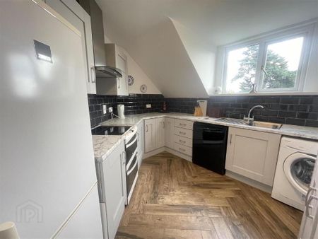 Apt 3 Ormonde Court, 86 Ormonde Park, Belfast, BT10 0LT - Photo 4