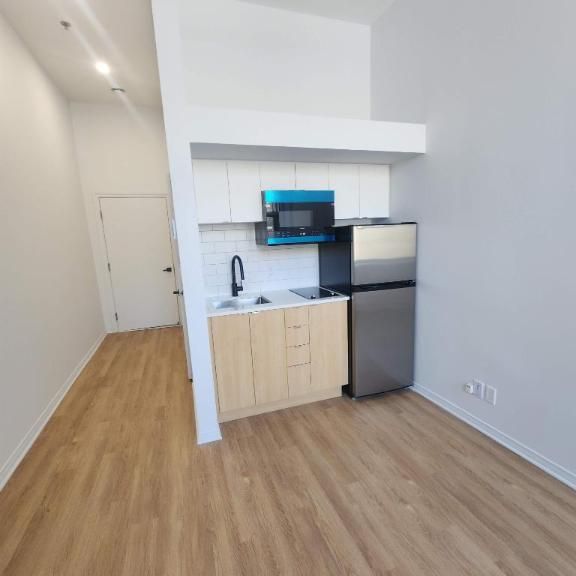 1 CH - 1 SDB - Montréal - $1,195 /mo - Photo 1