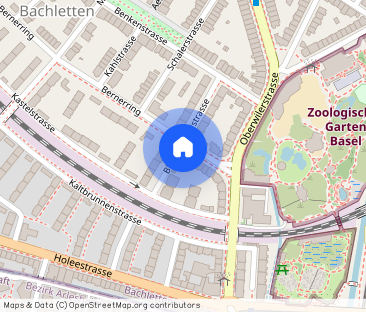 Charming old building apartment in the popular Bachletten district - Photo 1