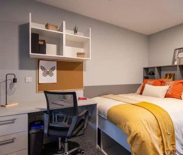 Premium Studio - Photo 4