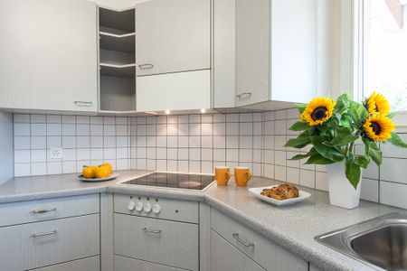 Parterrewohnung mit grossem Sitzplatz in begrünter Umgebung - Foto 3