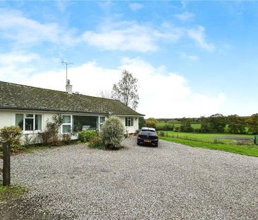 3 bedroom bungalow to rent - Photo 4