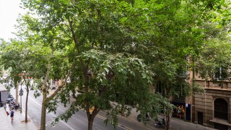Room in a shared 8-bedroom apartment for rent in la Dreta de l'Eixample, perfect for professionals and students - Foto 5