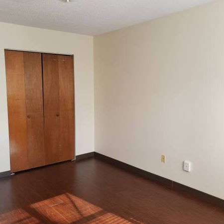 Beautiful One Bedroom Apartment - Photo 1