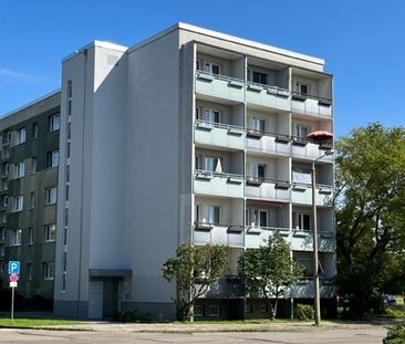 Single-Wohnung mit Balkon im EG - Photo 2