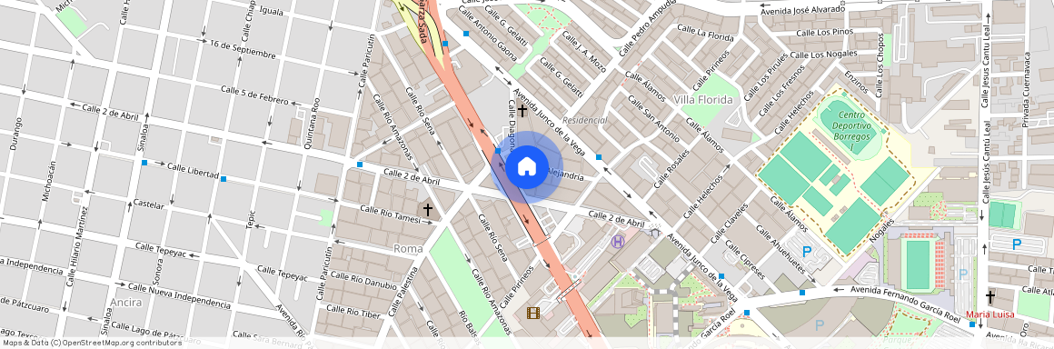 Calle Alejandría, Roma, Monterrey, Nuevo León, 64700, México
