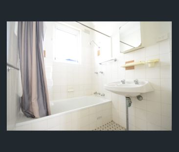 2 Bedroom Unit!! - Photo 3