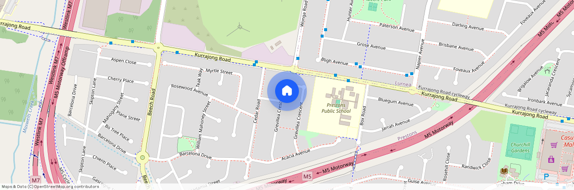 29 Grevillea Crescent, Prestons