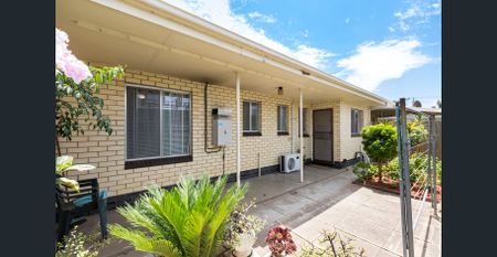 UPGRADED NEAT SINGLE STORY IN CENTRAL LOCATION - Photo 3