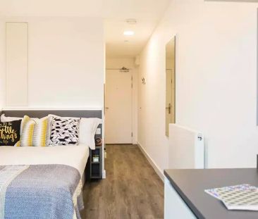 Bronze Studio XL Street View Mid Level - Photo 6