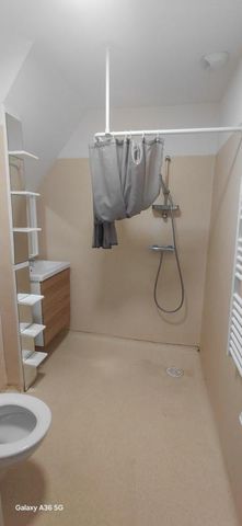 Location Appartement 1 pièce 24m² ANGERS 49100 - Photo 5