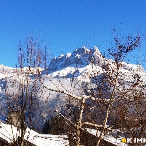 T2 – Coteau de Sallanches - Photo 1