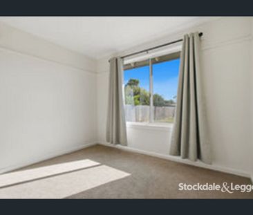 Fresh As A Daisy! - Photo 4