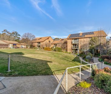 41/11 Namatjira Drive, Weston ACT, Belconnen - Photo 2