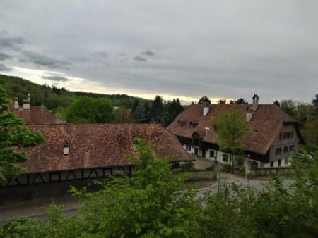 3.5 Zimmer Wohnung - Photo 3