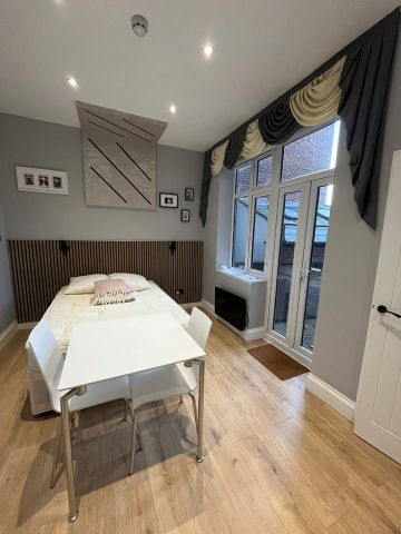 Studio Flat, Brand New Double Studio, SW6 - Photo 4