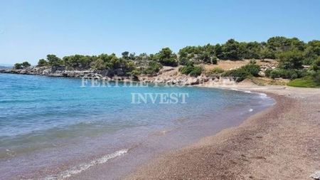 Μονοκατοικία για ενοικίαση Πετροθάλασσα (Κρανίδι) - Photo 5