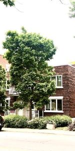 4 1/2 - Montréal (Côte-des-Neiges) - 1 650 $/mois - Photo 3