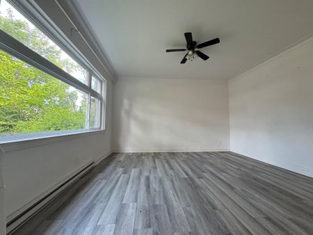 4996 Rue Fulton Montréal (Côte-des-Neiges, QC J3W - Photo 4