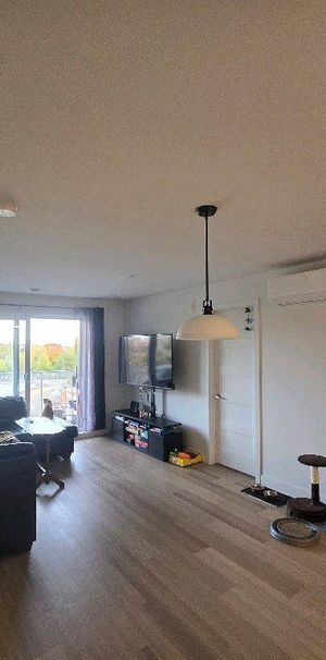 5 1/2 neuf 2024- Gym, piscine, internet & Électros inclus - Cession de bail - Photo 1