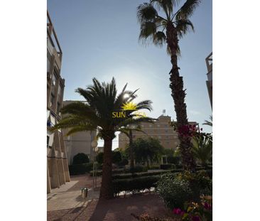 1 BEDROOM APARTMENT - TORREVIEJA - Photo 4