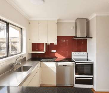 117 Levers Road, Matua - Photo 6
