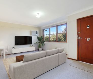 222 Lowry Street, North Albury - Photo 3