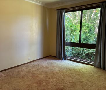 Short walk to Town - Photo 4