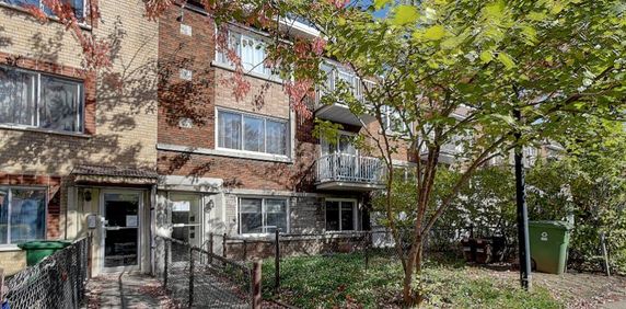 BEAU 4 1/2 AVEC ELECTROS, COUR ARRIÈRE ET STATIONNEMENT - Photo 2