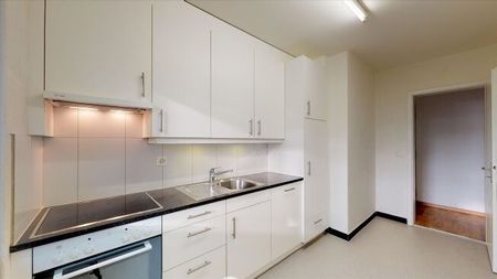 Living in the Ostring - Photo 2