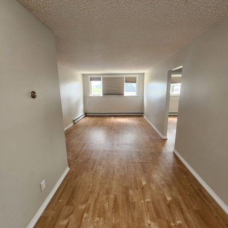 Main Floor 1 Bedroom Suite for Rent – 1530 Alexandra Street - Photo 2