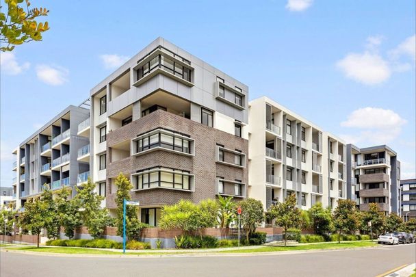 307/52 Charlotte Street, Campsie NSW 2194 - Apartment For Rent | Domain - Photo 1