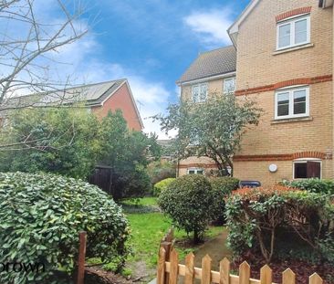 Harberd Tye - Photo 5