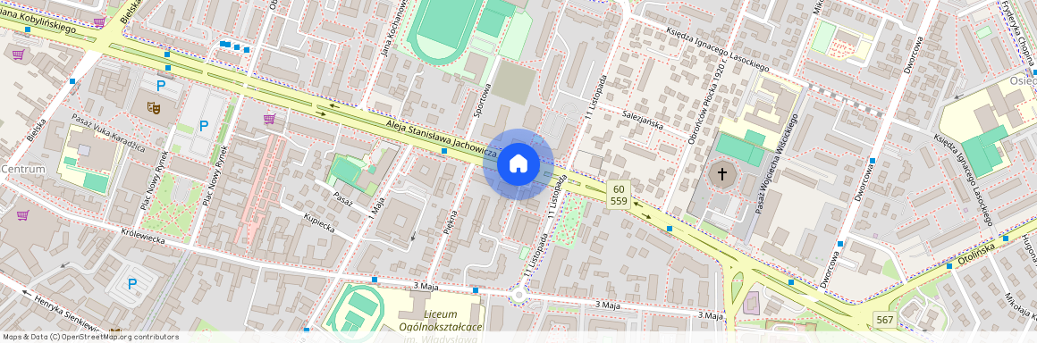 al. Stanisława Jachowicza, Płock, mazowieckie