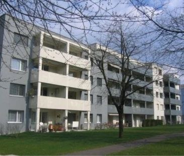 3.5 Zimmer, 75 m², EG - Photo 5