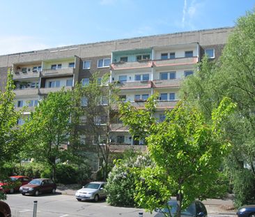 Gemütliche 1-Raum-Wohnung mit Singleküche - Photo 1