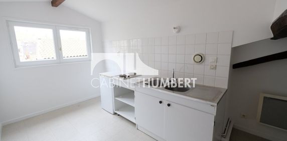 Location Appartement 1 pièce 18m² ST ETIENNE 42000 - Photo 2