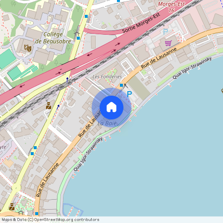 1110, Morges, Rue De Lausanne, 40