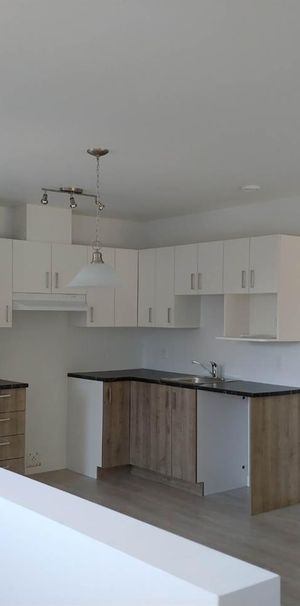 101-1497 Rue Du Conseil - Photo 1