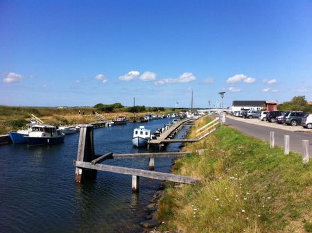 Afd. 17 - Løgstør Boligforening - Photo 2