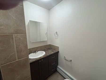 Willow Green Estates — Studio - Photo 4