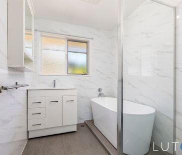 151 Duffy Street, Ainslie ACT 2602 - House For Rent | Domain - Photo 3