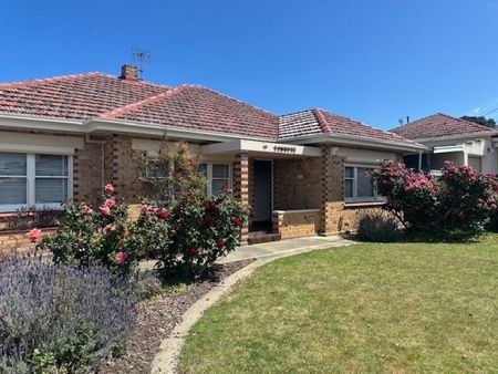 11 Peace Av, Victor Harbor SA 5211 - House For Rent | Domain - Photo 2