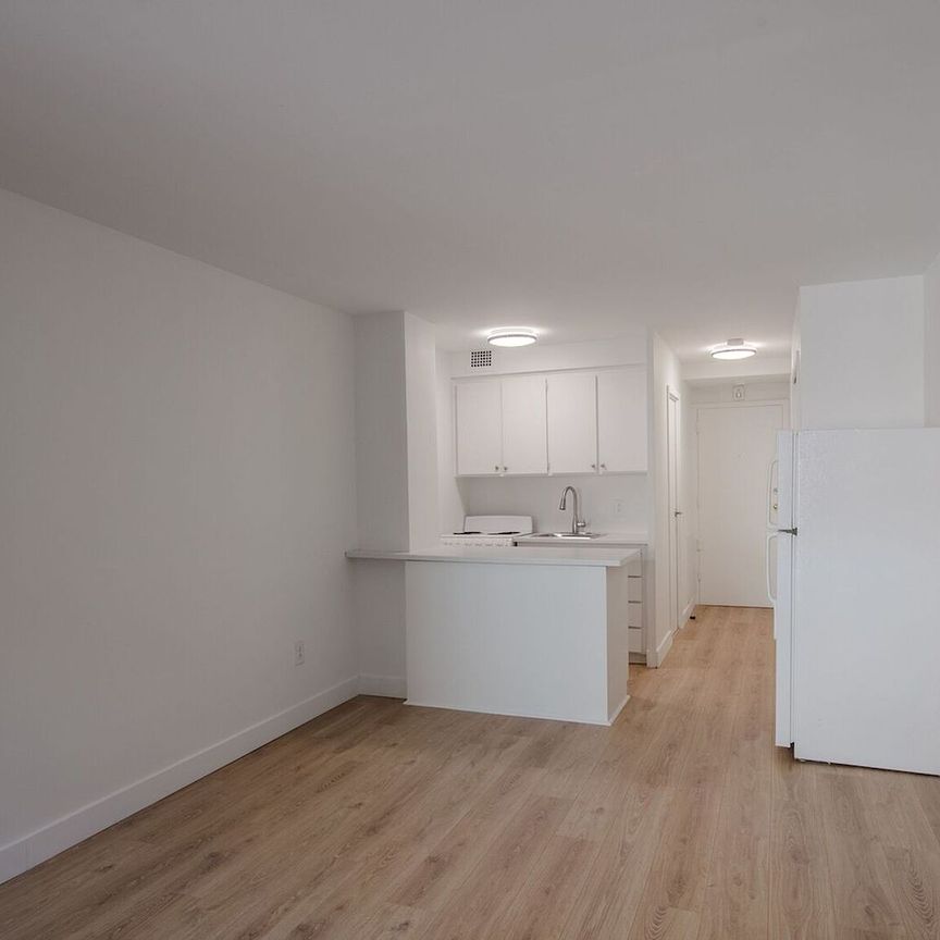 3460 Rue Durocher - Photo 1