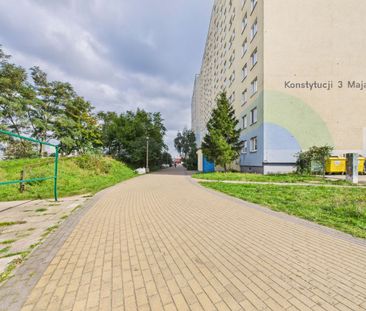 Ładne dwupokojowe mieszkanie w centrum Skarpy - Zdjęcie 3