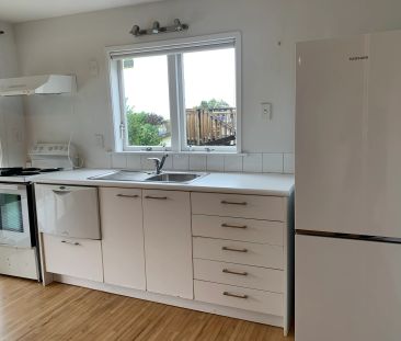 1/178 Ladies Mile - Photo 3