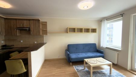 Mieszkanie do wynajęcia 2 pokoje św. Wawrzyńca, Poznań 40 m² - Zdjęcie 2
