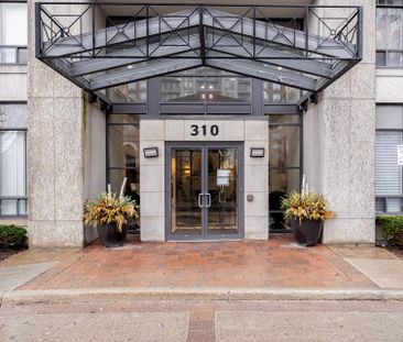 For Lease - 310 Red Maple Road Unit# 201, Richmond Hill, Ontario - Photo 3