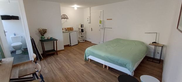 Location Appartement 1 pièce 25m² - Photo 1