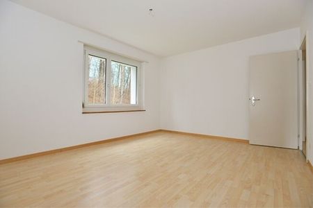 Quiet life in the countryside. Rent without deposit - Photo 2